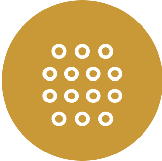 Key Feature Icon